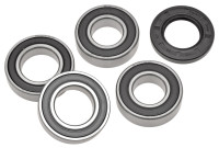 Servisní sada zadního kola, FACTORY LINKS