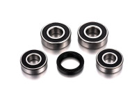 Servisní sada zadního kola, FACTORY LINKS