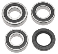 Servisní sada zadního kola, FACTORY LINKS