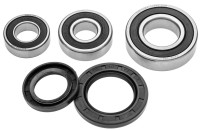 Servisní sada zadního kola, FACTORY LINKS