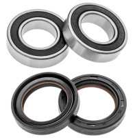 Servisní sada předního kola (RACE SERIES), FACTORY LINKS