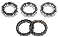 Servisní sada zadního kola (RACE SERIES), FACTORY LINKS