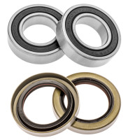 Servisní sada zadního kola (RACE SERIES), FACTORY LINKS