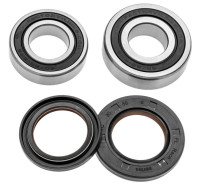 Servisní sada zadního kola (RACE SERIES), FACTORY LINKS