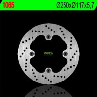 BRZDOVÝ KOTOUČ NG1065, ZADNÍ, SUZUKI AN 650 BURGMAN 02-03 (250x117x5,7)