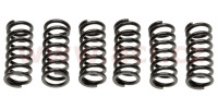 Sada spojkových pružin (6 ks), Tourmax