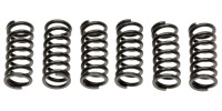 Sada spojkových pružin (6 ks), Tourmax