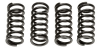 Sada spojkových pružin (4 ks), Tourmax
