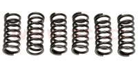 Sada spojkových pružin (6 ks), Tourmax