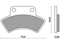 Brzdové destičky (směs OFF ROAD ATV SINTERED) NEWFREN (2 ks v balení)