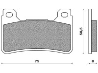Brzdové destičky (směs ROAD RACE SINTERED) NEWFREN (2 ks v balení)