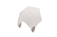 Plexi štít PUIG RAPTOR 0013W průhledný univerzální